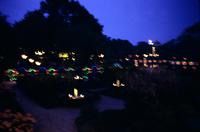 Blurry photo of Tivoli Gardens at night in Copenhagen, Denmark