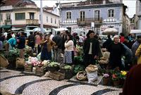 Flower and vegetable vendors at a market, Portugal
