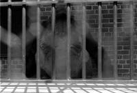 Animal with back turned behind bars