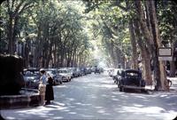 Cours Mirabeau, the main street in Aix-en-Provence, France (September, 1960)