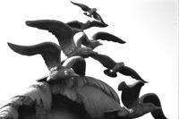 Close-up seagull detail on Navy - Merchant Marine Memorial at Lady Bird Johnson Park, Washington, D.C.