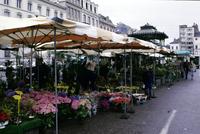 A flower market, Belgium