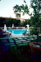 View of the outdoor pool and patio of a hotel with a potted lime tree